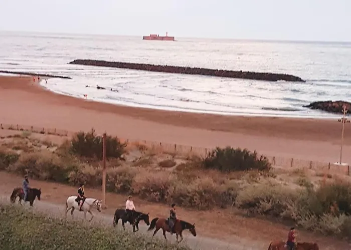 Mom' Blue Paradise Front De 3 Etoiles 61 M2 Cap'diem 3 Clim - Ideal Pr Un Sejour De 15j Ou ! Wifi, Lit 160 - 4e Ascenseur, Parking, Piscine, Petanque, Ping-pong - Pistes Cyclables - Golf & Tennis A 10 Mn *