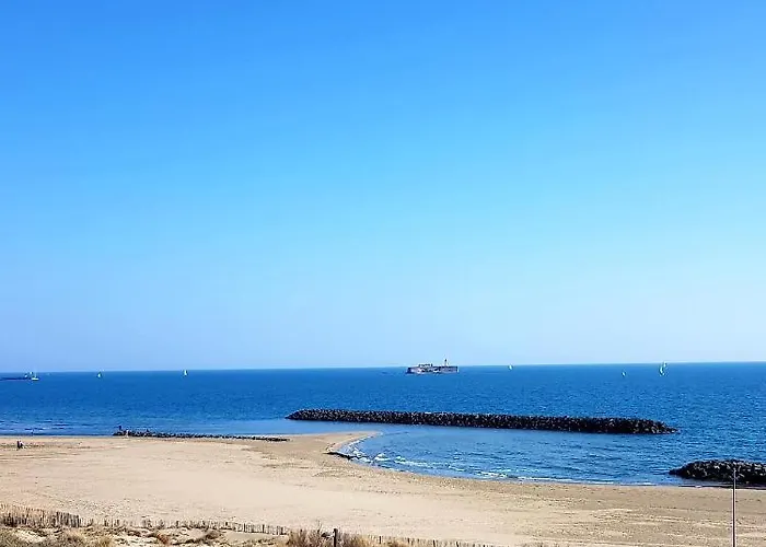 Mom' Blue Paradise Front De 3 Etoiles 61 M2 Cap'diem 3 Clim - Ideal Pr Un Sejour De 15j Ou ! Wifi, Lit 160 - 4e Ascenseur, Parking, Piscine, Petanque, Ping-pong - Pistes Cyclables - Golf & Tennis A 10 Mn Agde