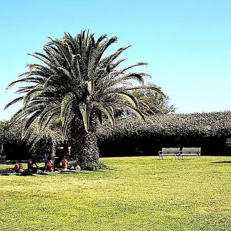 Appartement Mom' Blue Paradise Front De 61 M2 Cap'diem 3 étoiles - Idéal Pour Un De 15j Ou ! 3 Clim, Wifi, Lit 160 - 4è Ascenseur, Parking, Piscine, Pétanque, Ping-pong - Pistes Cyclables - Golf&tennis à 10 Mn