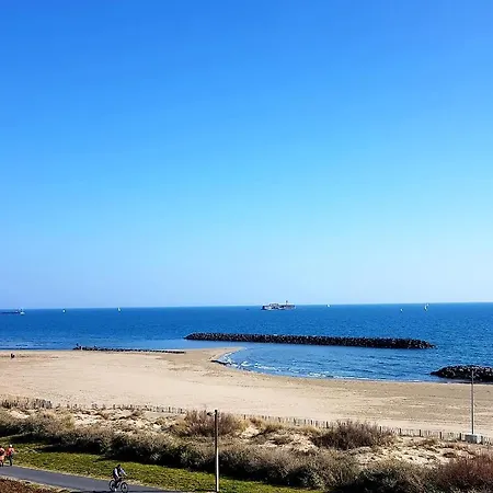 Appartement Renove Front De Mer 61 M2 Vue Directe Du 4Eme Blue Paradise Cap'Diem 3 Clim - Ideal Pour Un Sejour De 7 J Ou Plus Wifi, Lit 160 - Ascenseur Parking Piscine Petanque Ping-Pong - Plage De Rochelongue Pistes Cyclables - Golf & Tennis A 10 Mn Agde