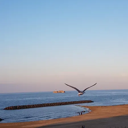 Mom' Blue Paradise Front De 3 Etoiles 61 M2 Cap'diem 3 Clim - Ideal Pr Un Sejour De 15j Ou ! Wifi, Lit 160 - 4e Ascenseur, Parking, Piscine, Petanque, Ping-pong - Pistes Cyclables - Golf & Tennis A 10 Mn * Agde