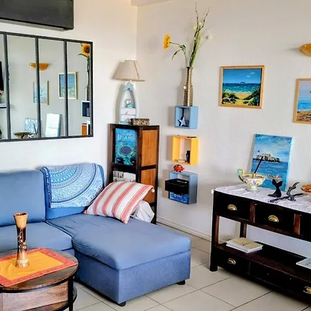 Appartement Renove Front De Mer 61 M2 Vue Directe Du 4Eme Blue Paradise Cap'Diem 3 Clim - Ideal Pour Un Sejour De 7 J Ou Plus Wifi, Lit 160 - Ascenseur Parking Piscine Petanque Ping-Pong - Plage De Rochelongue Pistes Cyclables - Golf & Tennis A 10 Mn Agde