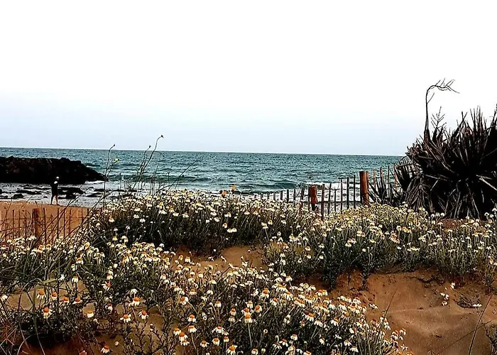 Heure Bleue: Beachfront Oasis With Pool And Panoramic Views Apartment