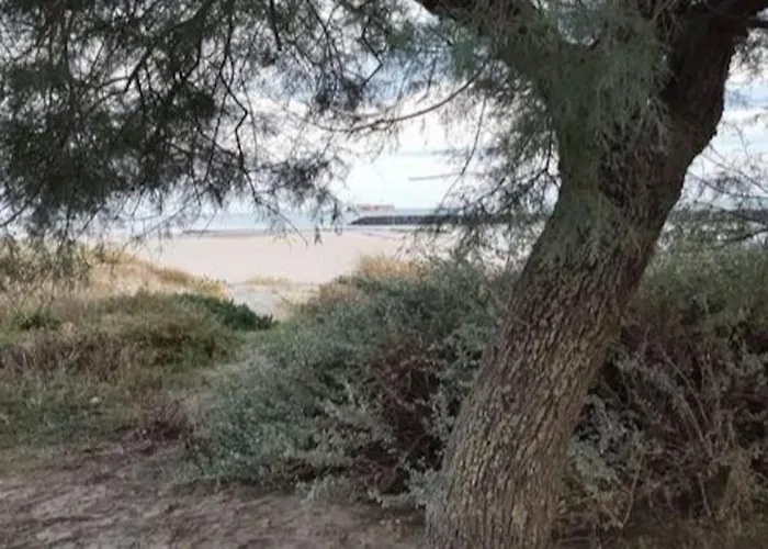 Mom' Blue Paradise Front De 61 M2 Cap'diem 3 étoiles - Idéal Pour Un De 15j Ou ! 3 Clim, Wifi, Lit 160 - 4è Ascenseur, Parking, Piscine, Pétanque, Ping-pong - Pistes Cyclables - Golf&tennis à 10 Mn Appartement *