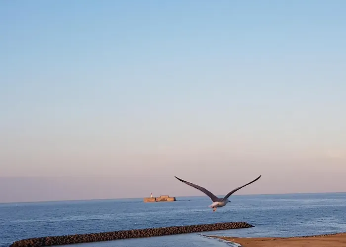 Mom' Blue Paradise Front De 61 M2 Cap'diem 3 étoiles - Idéal Pour Un De 15j Ou ! 3 Clim, Wifi, Lit 160 - 4è Ascenseur, Parking, Piscine, Pétanque, Ping-pong - Pistes Cyclables - Golf&tennis à 10 Mn * Agde